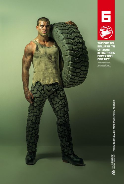 Mockingjay