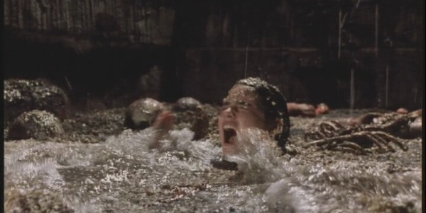 Phenomena (1985) - source: Anchor Bay Entertainment