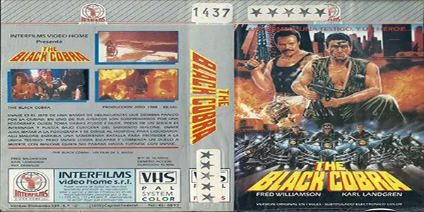 Black Cobra VHS Cover - Film Inquiry