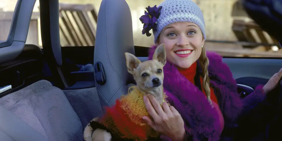 Why LEGALLY BLONDE Was An Impressive Feminist Film For 2001