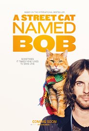 Movies Opening In Cinemas On November 18 - A Street Cat Named Bob