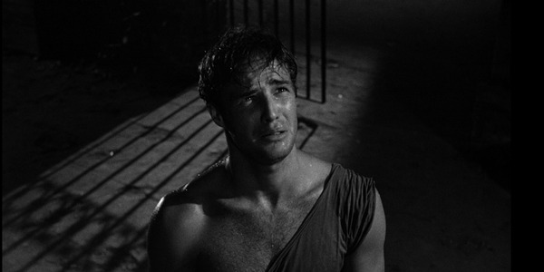 The Nominated Film You May Have Missed: A STREETCAR NAMED DESIRE The Nominated Film You May Have Missed: A STREETCAR NAMED DESIRE