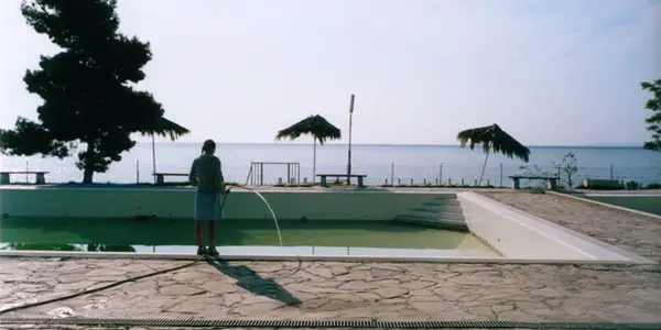 The Beginner's Guide To Yorgos Lanthimos, Director The Beginner's Guide To Yorgos Lanthimos, Director