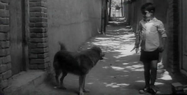 A Few Important Films from Abbas Kiarostami: Essential Viewing For Tumultuous Times