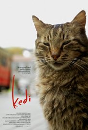 Movies Opening On Cinemas On February 10 - Kedi