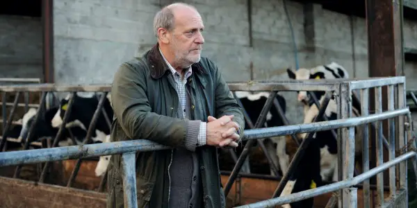 THE LEVELLING: An Emotional Rollercoaster Of A Debut THE LEVELLING: An Emotional Rollercoaster Of A Debut