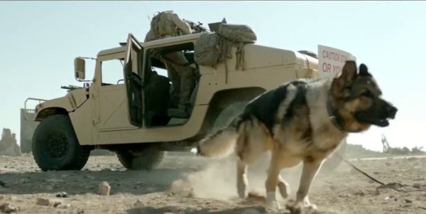 MEGAN LEAVEY: Not The Sappy Dog Movie You Think It Is