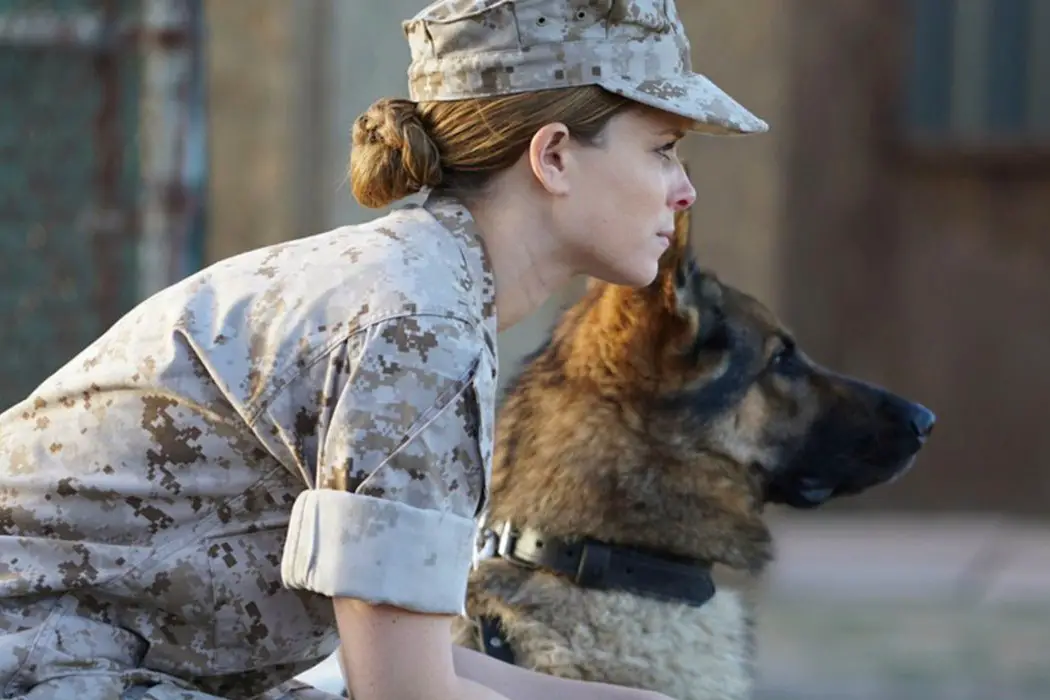 MEGAN LEAVEY: Not The Sappy Dog Movie You Think It Is