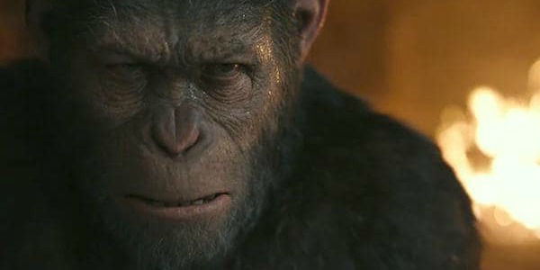 WAR FOR THE PLANET OF THE APES: The End of Mankind Never Looked So Good