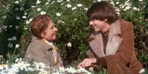 HAROLD AND MAUDE: Revisiting Hal Ashby's Inspirational Cult Classic After 50 Years