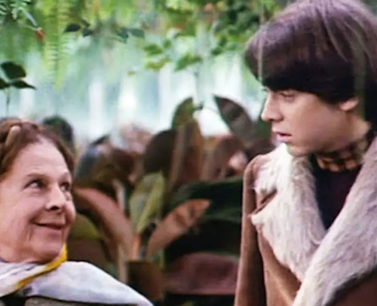 HAROLD AND MAUDE: Revisiting Hal Ashby's Inspirational Cult Classic After 50 Years