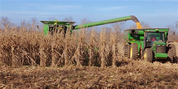 LOOK & SEE: A Portrait of Wendell Berry - Smoke & Farmland