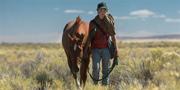 Toronto International Film Festival 2017 Report Part 3: It Lies In The Film Toronto International Film Festival 2017 Report Part 3: It Lies In The Film