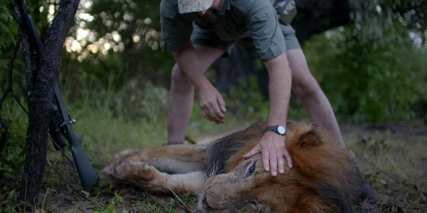 TROPHY: Objectivity Through A Killer Lens TROPHY: Objectivity Through A Killer Lens
