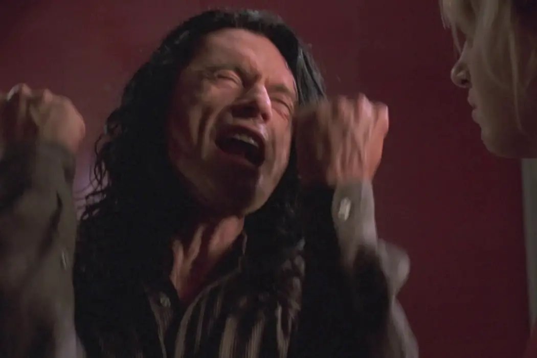 Ed Wood, Tommy Wiseau and Losing Your Vision To The Public