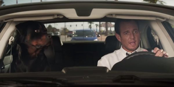 SHOW DOGS: A Strong Contender For Worst Film Of The Year Show Dogs: A Strong Contender For The Worst Film Of The Year