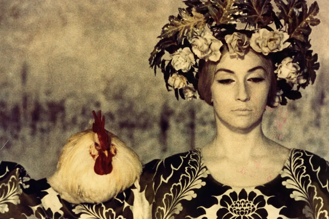 THE COLOR OF POMEGRANATES: A Film That Found Beauty Everywhere