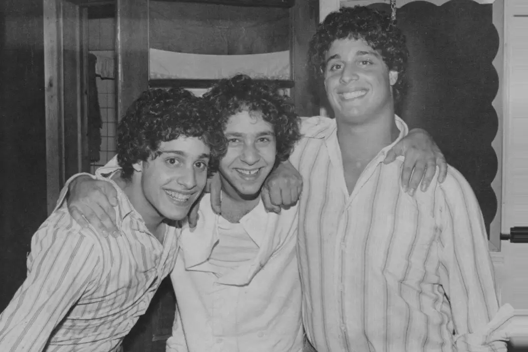 2018 Three Identical Strangers