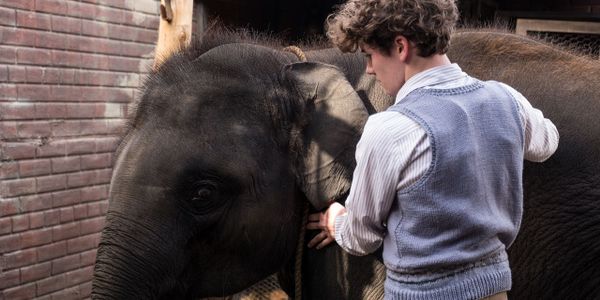 ZOO: A Charming Family Flick That'll Leave You Wanting More