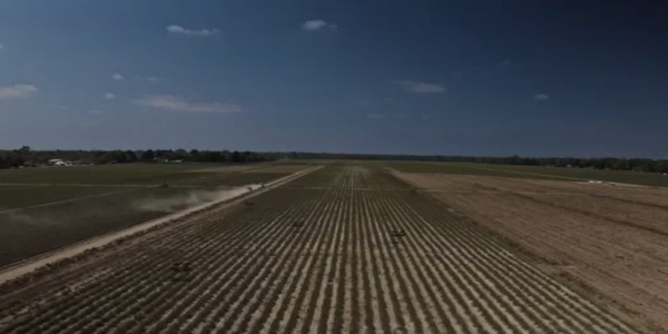 HOVER: An Expertly Crafted Blend Of Horror, Sci-fi & Humanity HOVER: An Expertly Crafted Blend Of Horror, Sci-fi & Humanity
