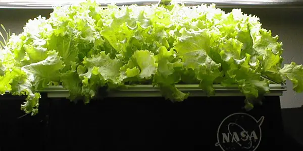 Fantasy Science Pt. 14: Aeroponics & STAR TREK VOYAGER 