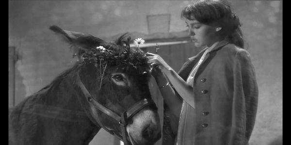 Film Struck: What To Watch Before It's Gone Film Struck: What To Watch Before It's Gone