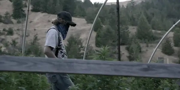 MURDER MOUNTAIN: Netflix’s Documentary Domination Continues MURDER MOUNTAIN: Netflix’s Documentary Domination Continues