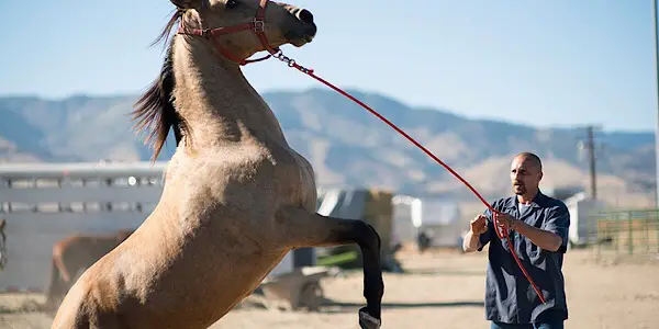 Sundance Film Festival 2019 - Interview With Co-writer/Director Of THE MUSTANG, Laure De Clermont-Tonnerre