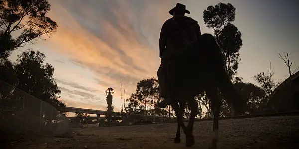 FIRE ON THE HILL: Fresh View Of Compton From Horseback