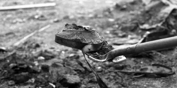 Video Dispatches: YEAR OF THE DRAGON, DAWSON CITY: FROZEN TIME & MAURICE Video Dispatches: YEAR OF THE DRAGON, DAWSON CITY: FROZEN TIME & MAURICE