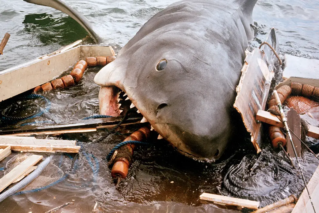 Sharks In Cinema & Environmental Anxieties: From JAWS To THE MEG