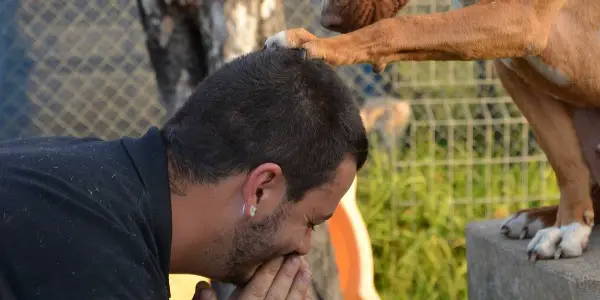 The Top Ten Picks of the Melbourne Documentary Film Festival 2019 The Top Ten Picks of the Melbourne Documentary Film Festival 2019