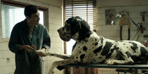 The Tweaked Neorealism Of DOGMAN The Tweaked Neorealism Of DOGMAN