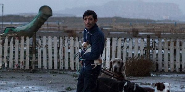 The Tweaked Neorealism Of DOGMAN The Tweaked Neorealism Of DOGMAN