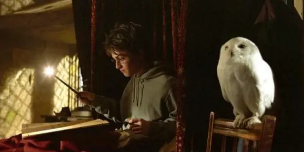 Comparing Companions: How Fantasy Handles It's Creatures