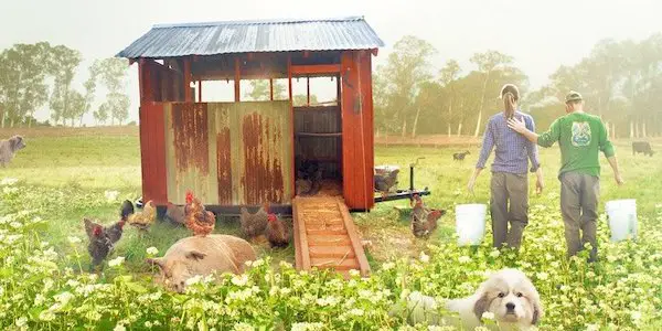 THE BIGGEST LITTLE FARM: The Power Of Mother Nature On Full Display THE BIGGEST LITTLE FARM: The Power Of Mother Nature On Full Display