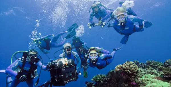 WONDERS OF THE SEA Review: A Middling Sea Life Doc WONDERS OF THE SEA Review: A Middling Sea Life Doc