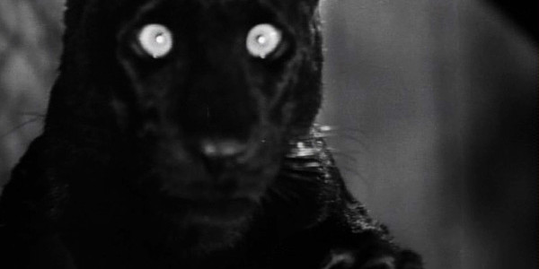 Video Dispatches: THE LEOPARD MAN & Two De Palmas Video Dispatches: THE LEOPARD MAN & Two De Palmas