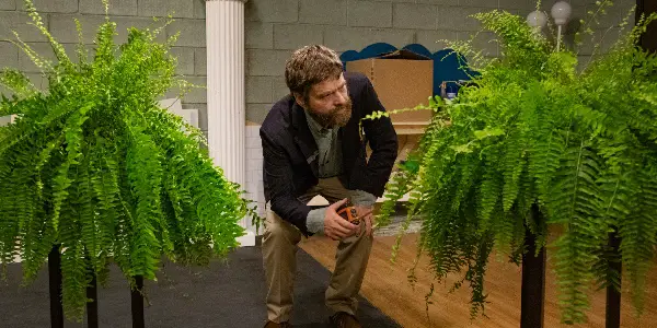 BETWEEN TWO FERNS: THE MOVIE: A Constant Stretch of Narrative with Rich Awkward Humour BETWEEN TWO FERNS: THE MOVIE: A Constant Stretch of Narrative with Rich Awkward Humour