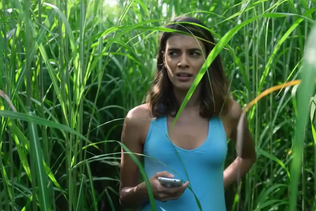 IN THE TALL GRASS: Is The Mind-Bending Premise Enough?