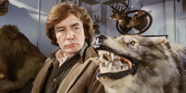 WOLFEN: Horror, Capitalism, and the Environment WOLFEN: Horror, Capitalism, and the Environment