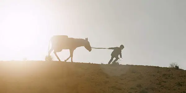 Around The World In 101 Minutes: 2020’s Oscar Nominated Live Action Shorts Around The World In 101 Minutes: 2020’s Oscar Nominated Live Action Shorts