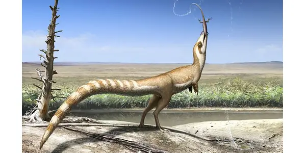 Fantasy Science Pt. 29: Dinosaur Discoveries Of The 2010's Fantasy Science Pt. 29: Dinosaur Discoveries Of The 2010's