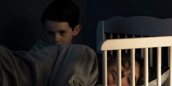 VIVARIUM: Stranger Than Strange VIVARIUM: Stranger Than Strange