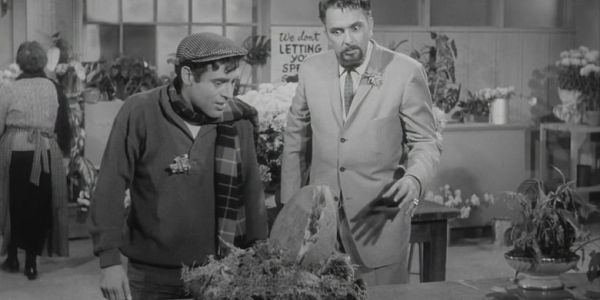 LITTLE SHOP OF HORRORS At 60: Social Change and White Male Anxiety LITTLE SHOP OF HORRORS At 60: Social Change and White Male Anxiety