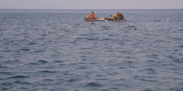 Cineola Festival, Resistir: The Importance Of Community Cineola Festival, Resistir: The Importance Of Community