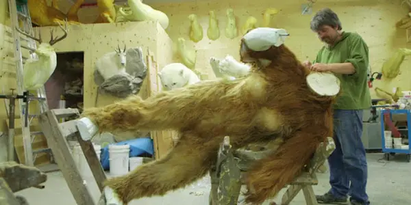 BIG FUR: Building Big Foot BIG FUR: Building Big Foot