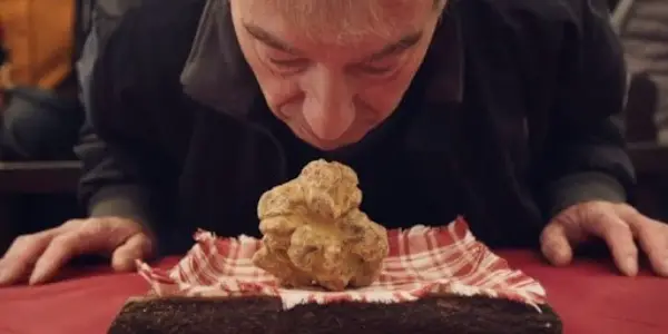 NYFF 2020: THE TRUFFLE HUNTERS NYFF 2020: THE TRUFFLE HUNTERS