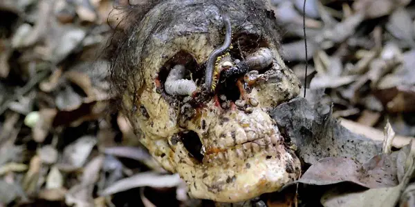 Away from the Hype: CANNIBAL HOLOCAUST Away from the Hype: CANNIBAL HOLOCAUST