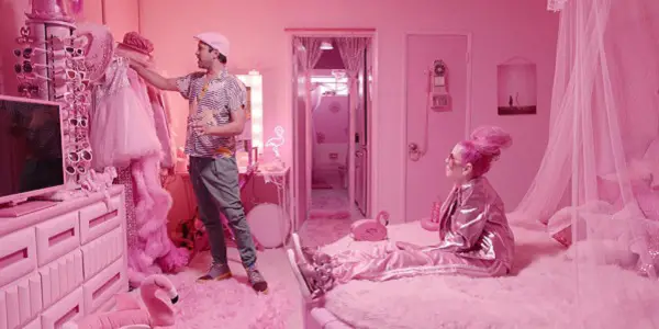 THE MYSTERY OF THE PINK FLAMINGO: La Vie En Kitsch THE MYSTERY OF THE PINK FLAMINGO: La Vie En Kitsch